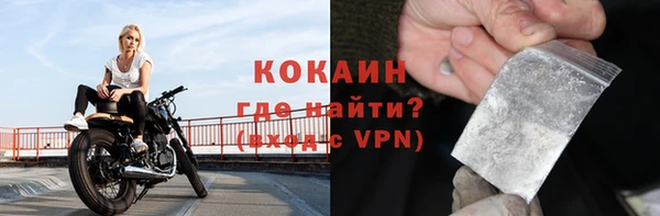 сатива Арсеньев